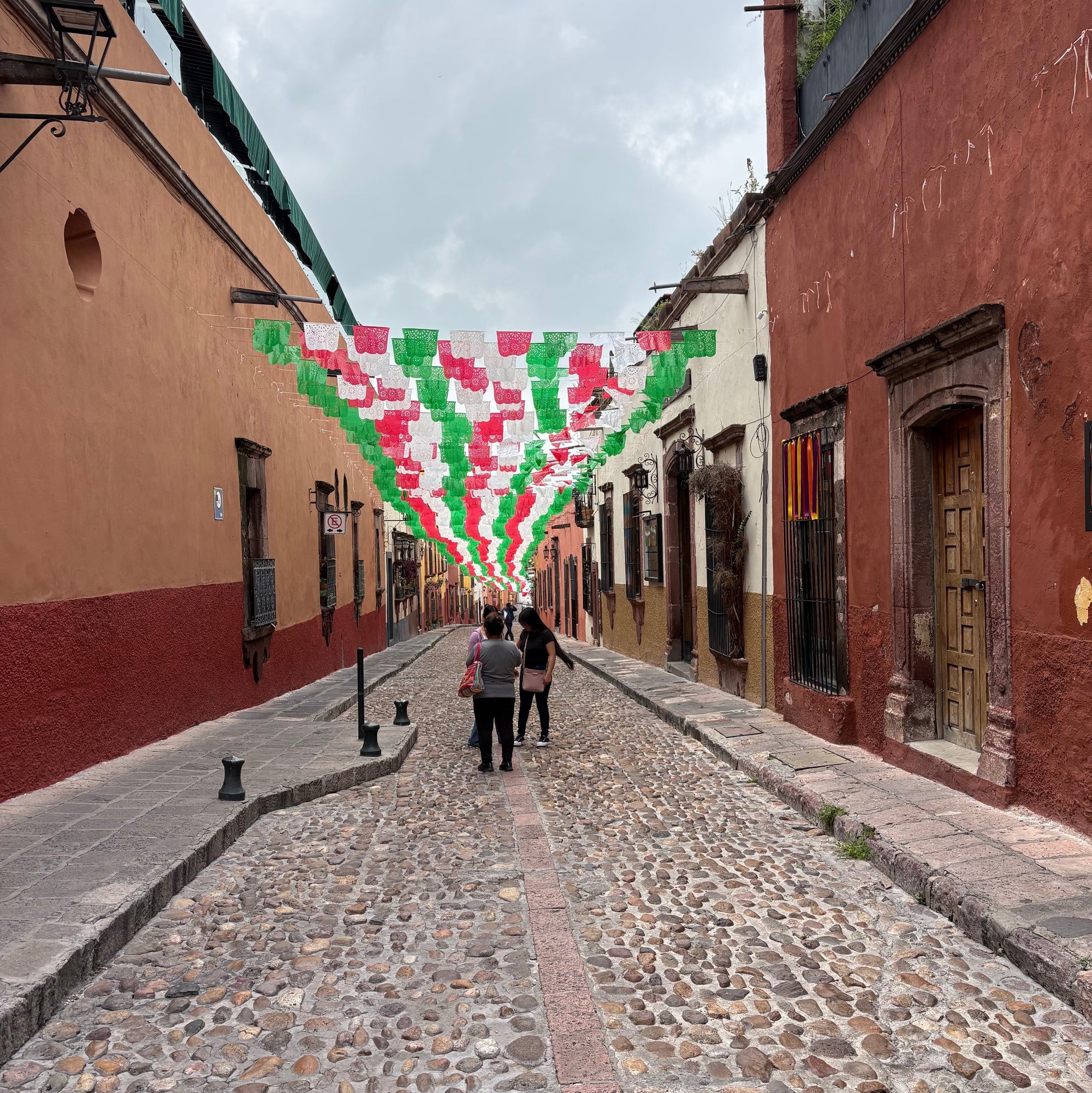 A Work Trip to the Stray Dog Workshop