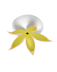 Flower Power Canopy Kit