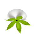 Flower Power Canopy Kit