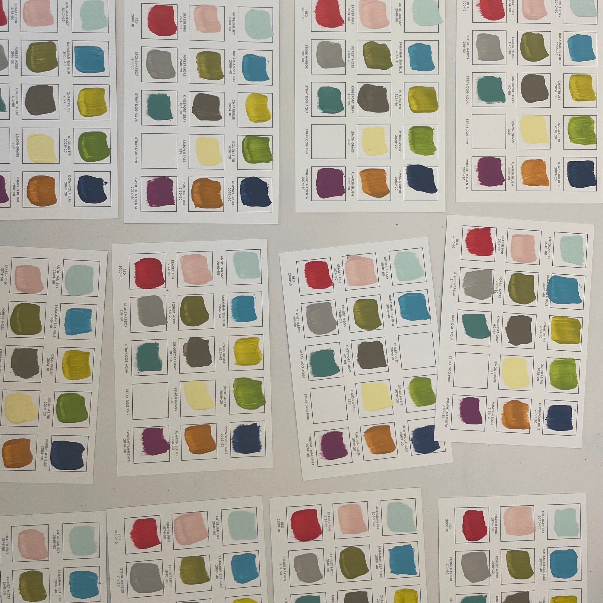 Stray Dog Color Swatch Card