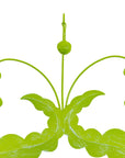Pea Pod Mirror