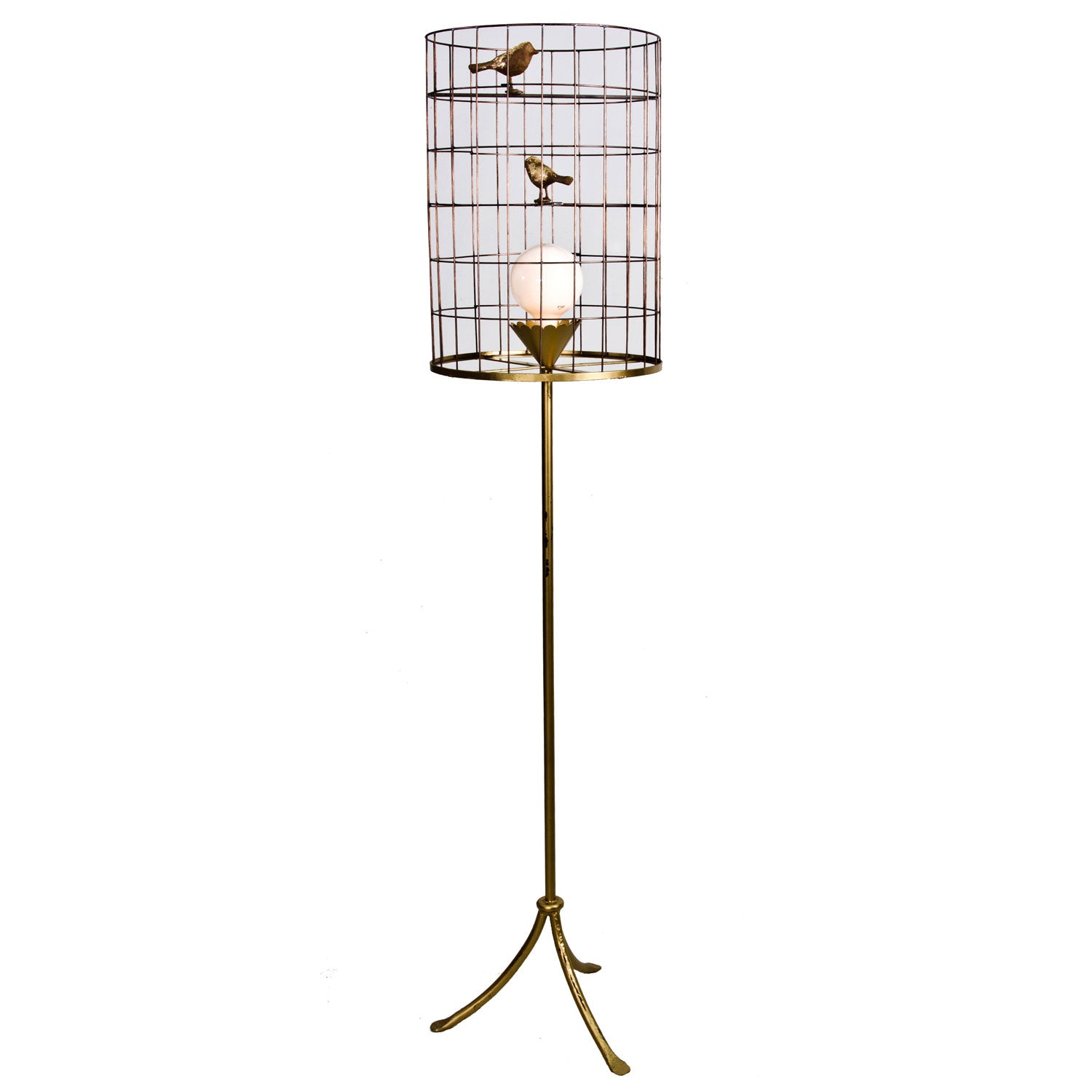 Stray Dog Designs Floor Light with Bird Cage Shade in Gold