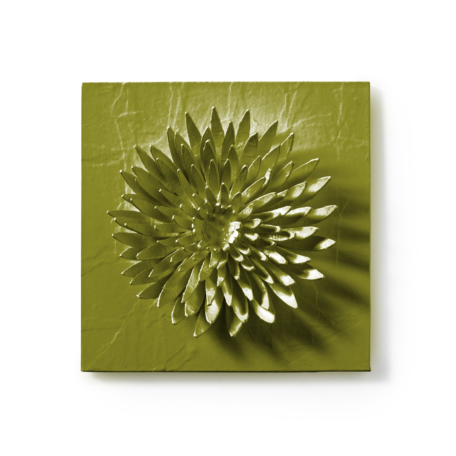 Chrysanthemum Flower Wall Tile by Stray Dog Designs